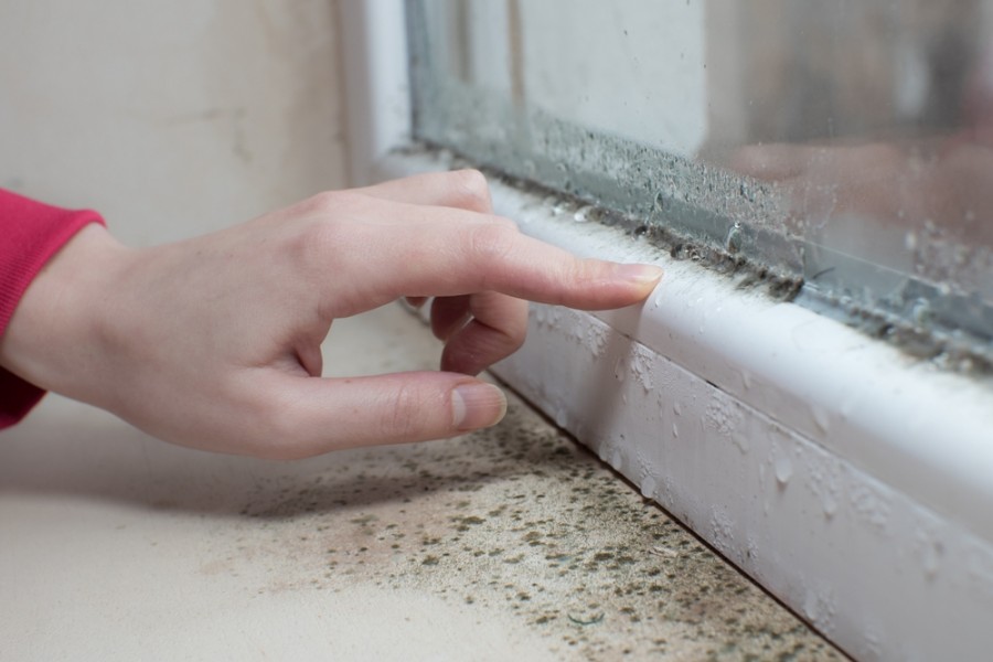 Humidité dans les murs intérieurs : Causes, traitement et conseils